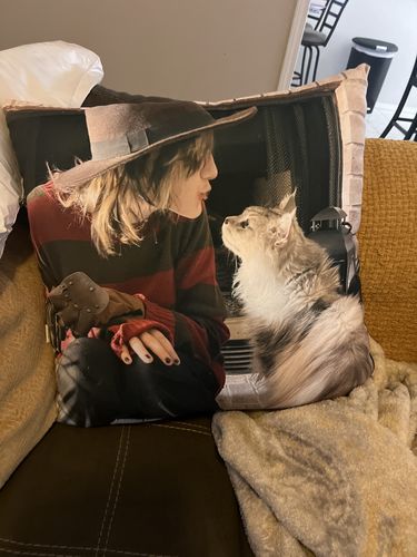 Customer photo review of Create A Custom Anything Pillow