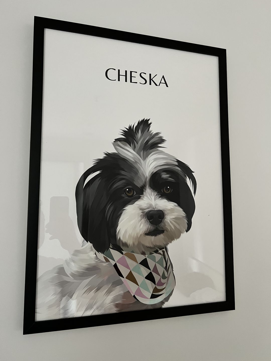 Customer photo review of One-Pet Portrait