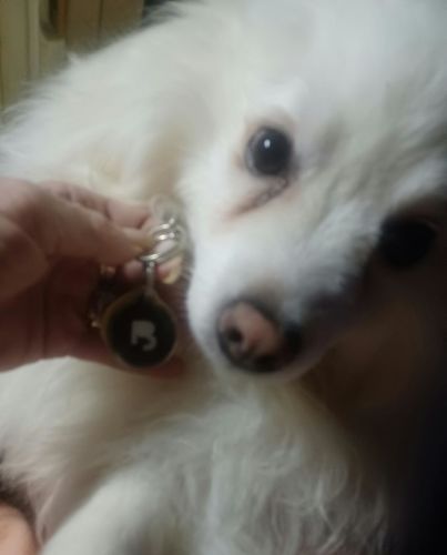 Customer photo review of Black