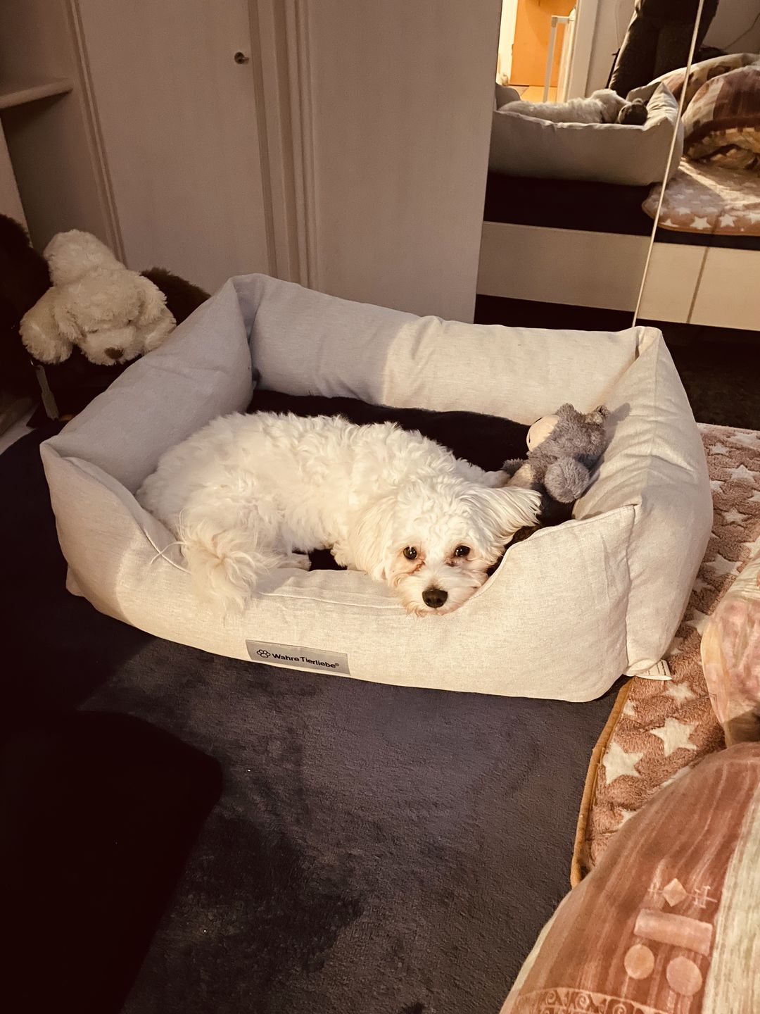 Customer photo review of Orthopädische Hunde Couch