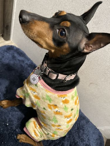 Customer photo review of Pink