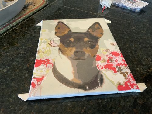 Customer photo review of Create a Custom Pet Paint by Numbers