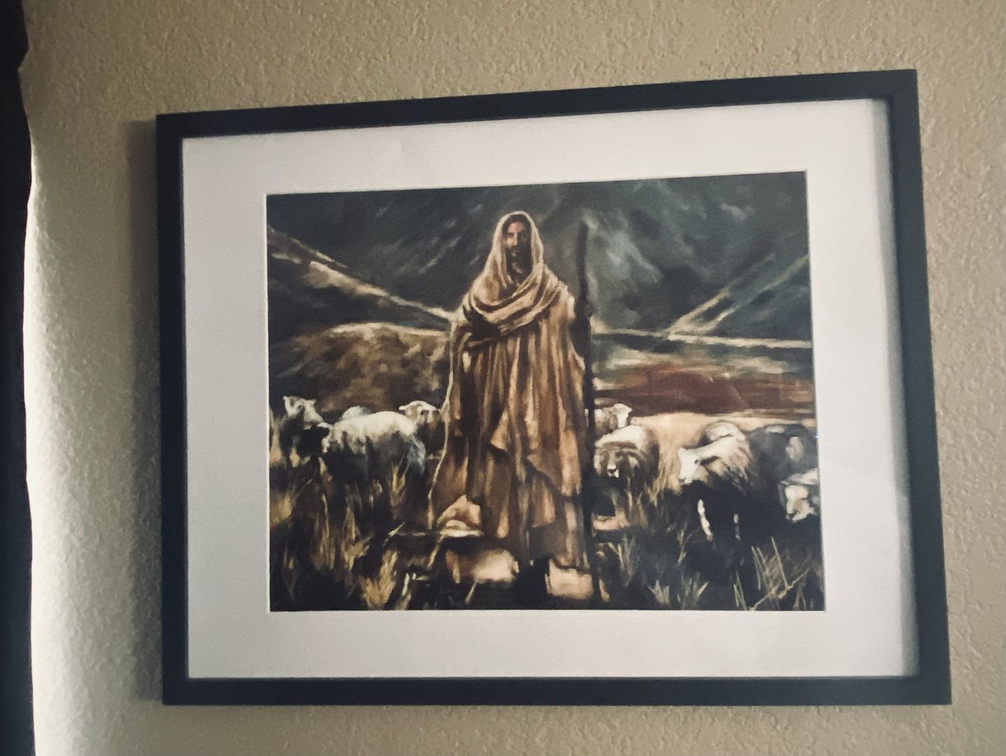 Customer photo review of The Lord is My Shepherd