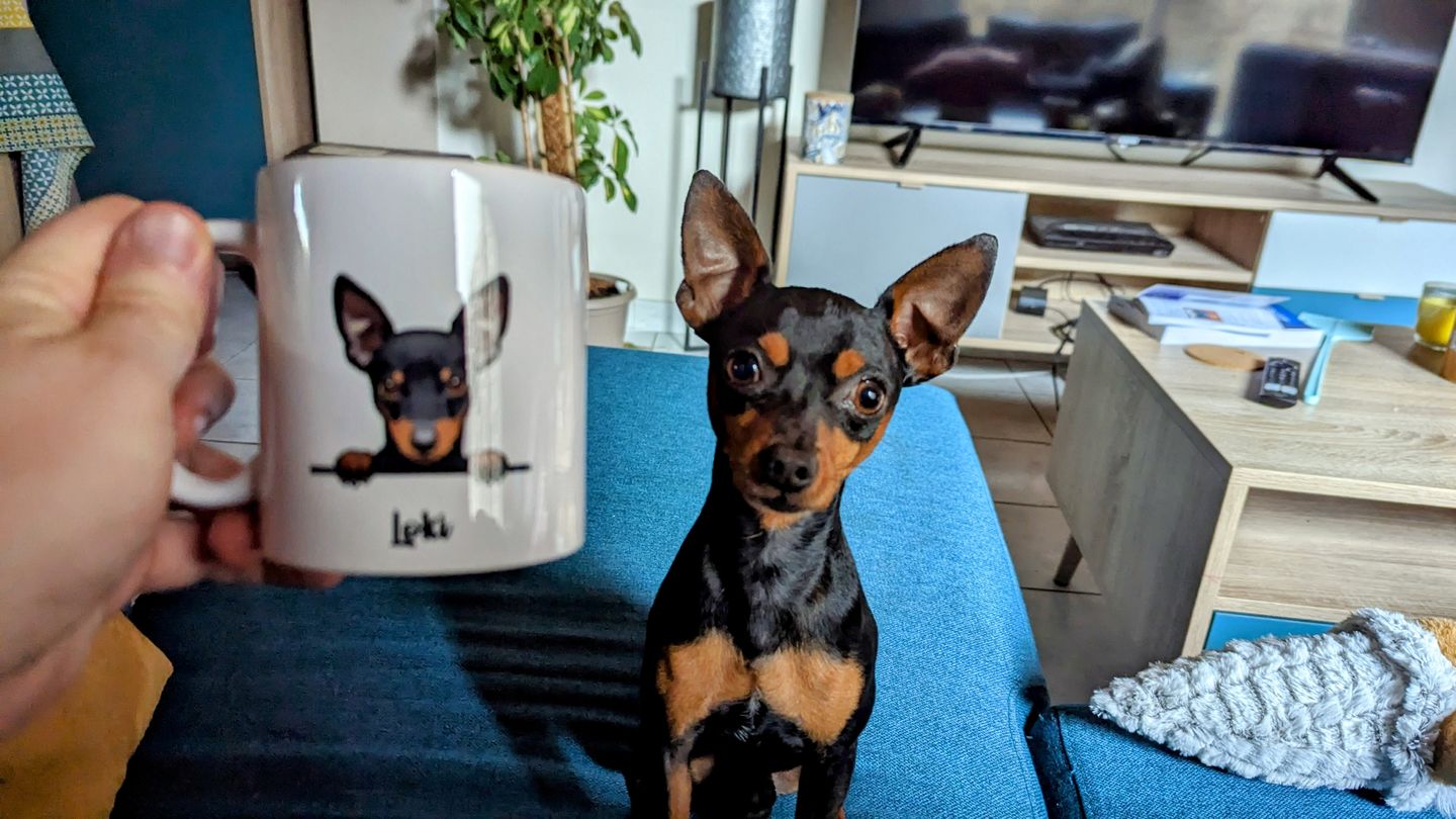 Customer photo review of Mon préféré - Mug personnalisé