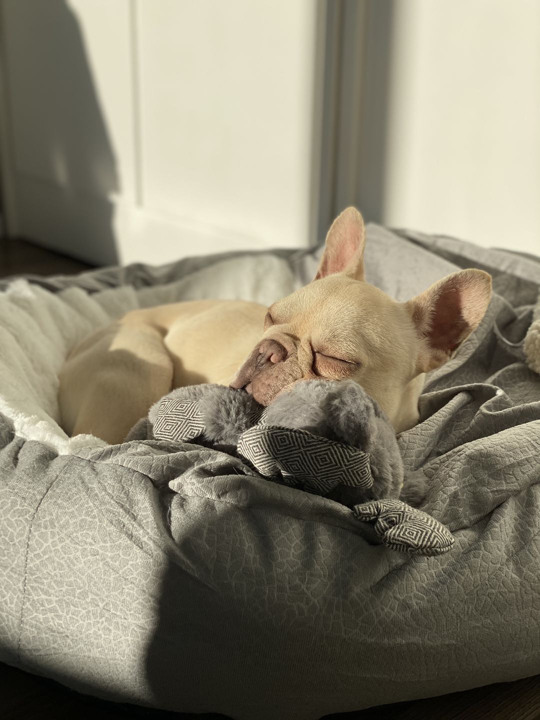 Customer photo review of *Neu*Emmalove - Kuschelhöhle für Hunde