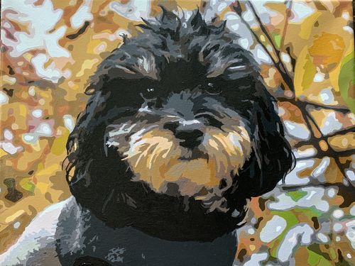 Customer photo review of Custom Paint by Numbers Kit