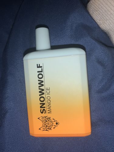 Customer photo review of Snowwolf Mini
