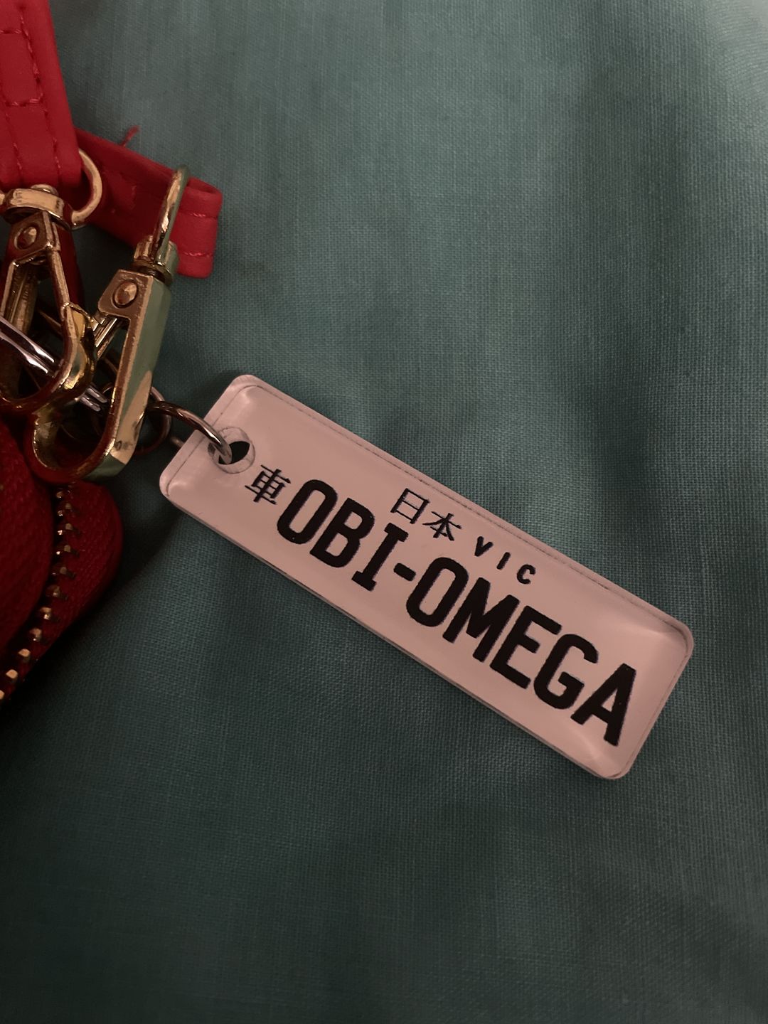 Customer photo review of VIC Japanese (JDM) Licence Plate Custom Keychain 🇯🇵