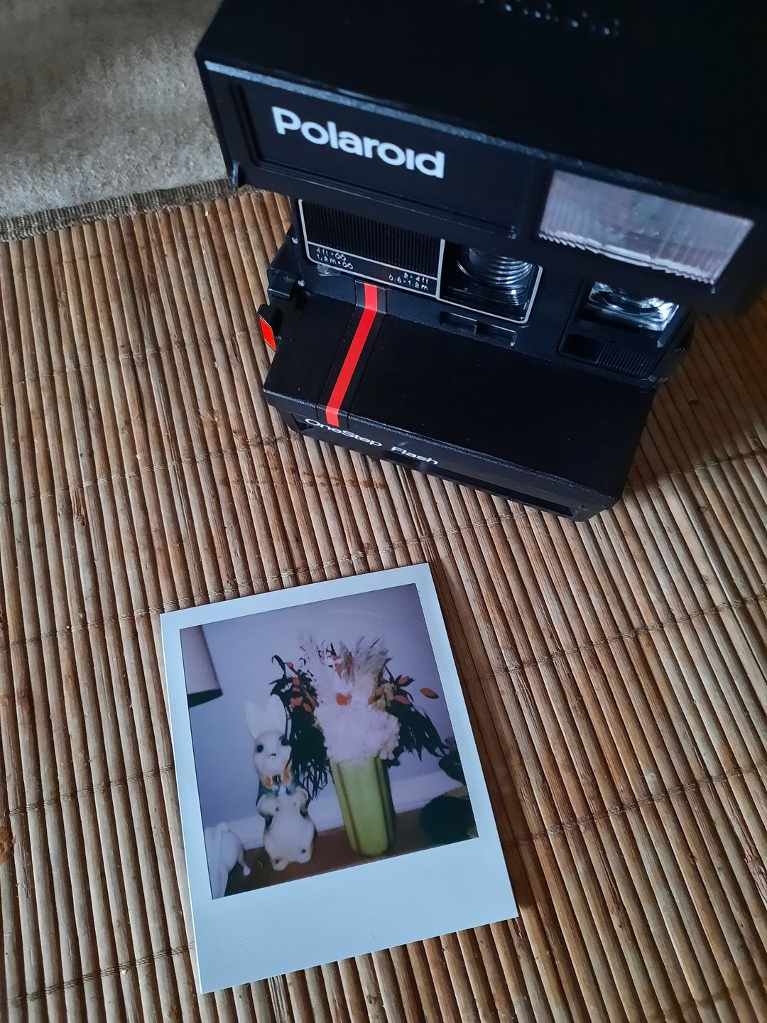 Customer photo review of Polaroid 600 Red Stripe Instant Film Camera