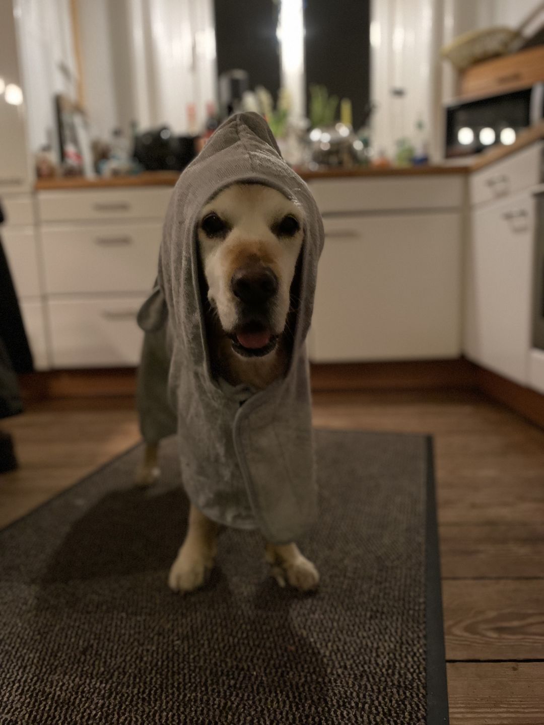 Customer photo review of Premium Hunde Bademantel