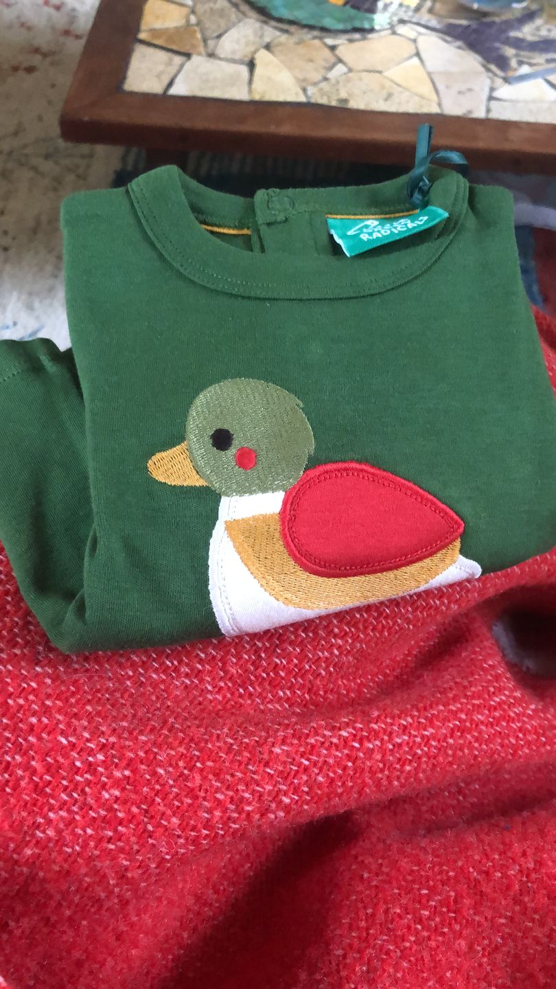 Customer photo review of Little Duck Applique Long Sleeve T-Shirt