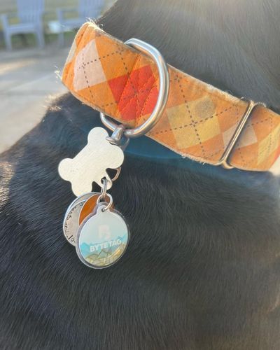 Customer photo review of Explorer