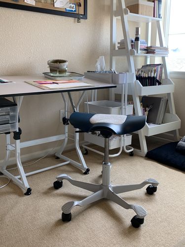 Customer photo review of Capisco Puls Saddle Stool