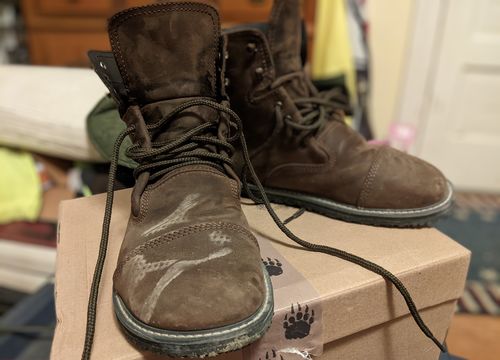 Customer photo review of Bruin