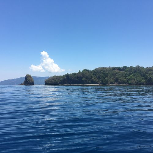 Customer photo review of Sarahbio - huile de pépins de figue de barbarie - 30 mL