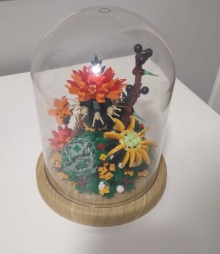 Customer photo review of Mini Immortal Flowers