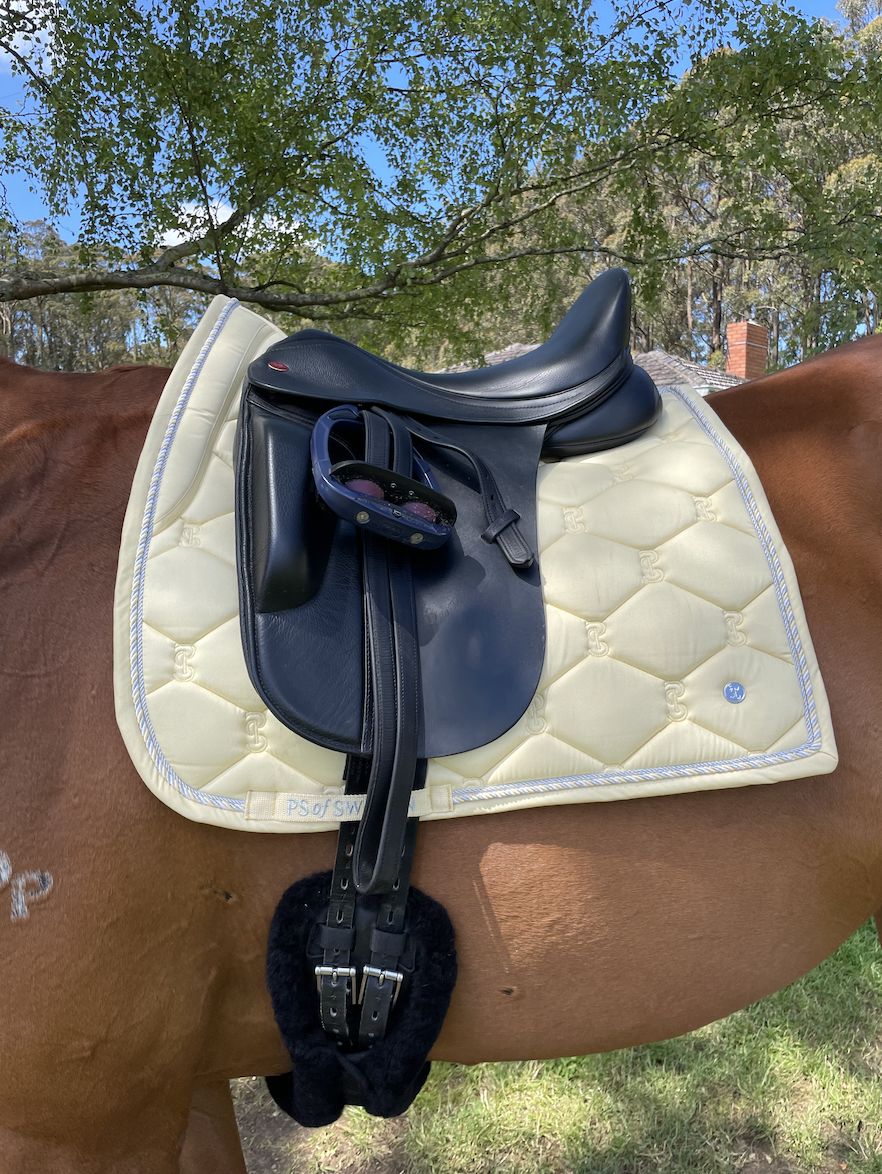 Customer photo review of PSOS Dressage Pad Classic, Sunlight
