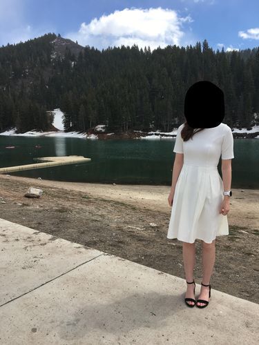 Customer photo review of Brigitte Brianna Swing Dress