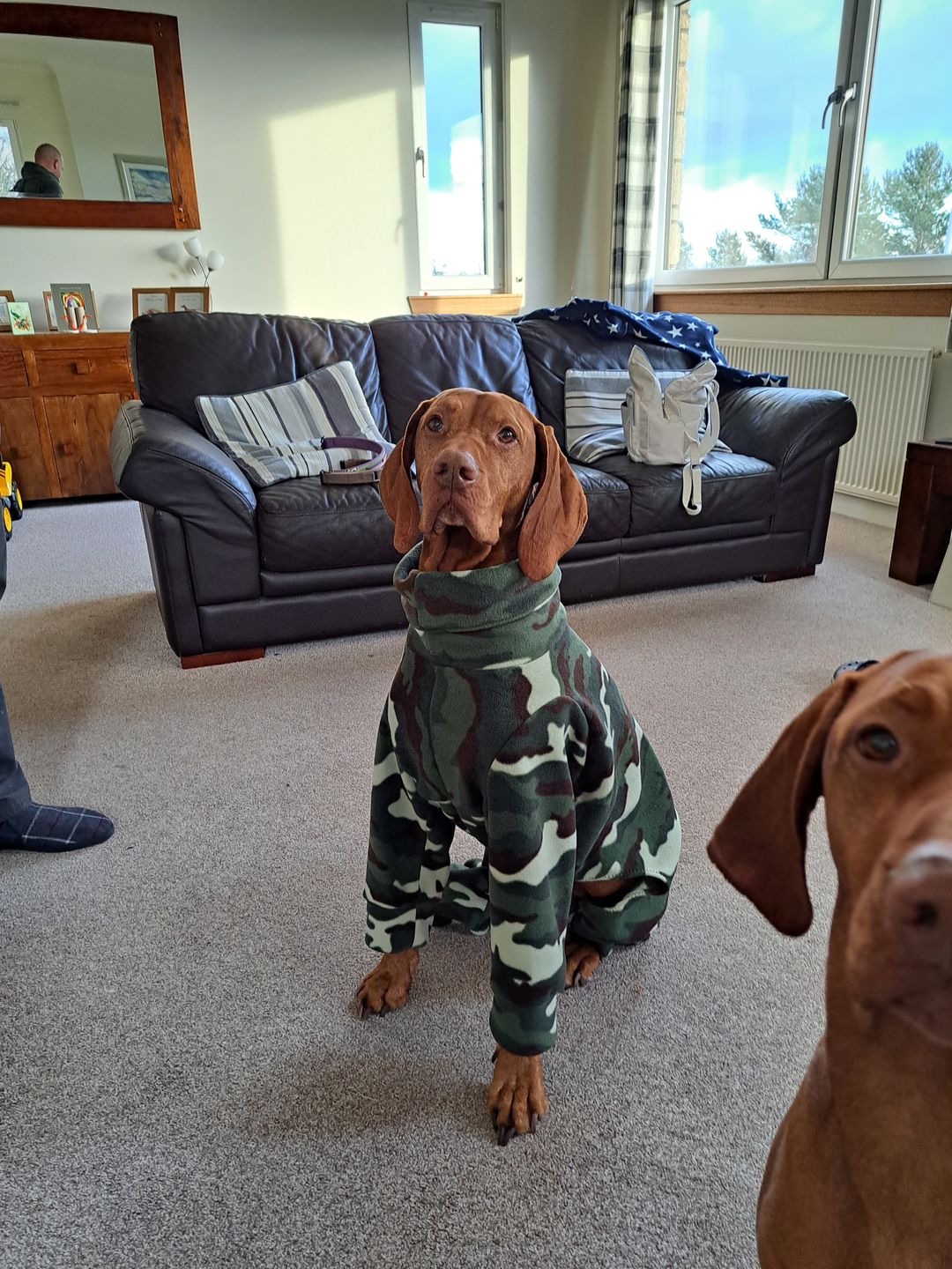 Customer photo review of Camo Anti Pill Polar Fleece Fabric