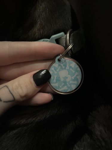 Customer photo review of Paw & Bones