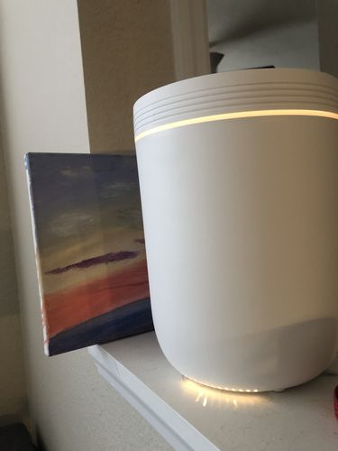 Customer photo review of The Halo & 8 Essential Oils Single Note Set