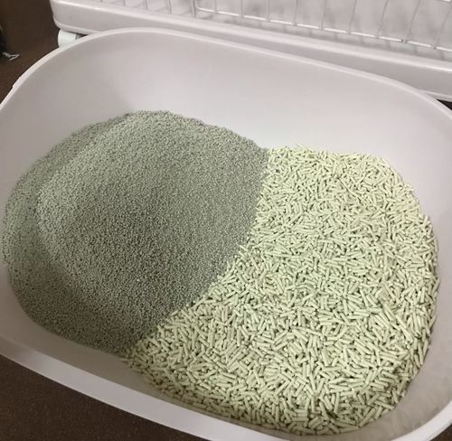 Customer photo review of Michu Natural Clumping Tofu Cat Litter 2.5kg/6L