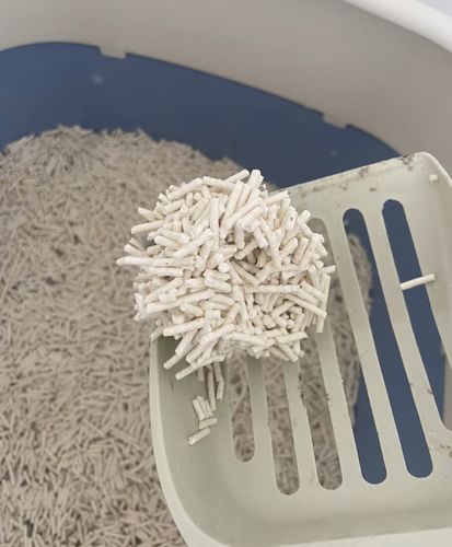Customer photo review of Michu Natural Clumping Tofu Cat Litter 2.5kg/6L