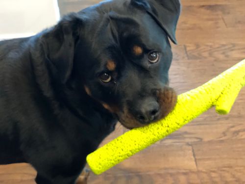 Customer photo review of Aunt Lyns Promotional Item