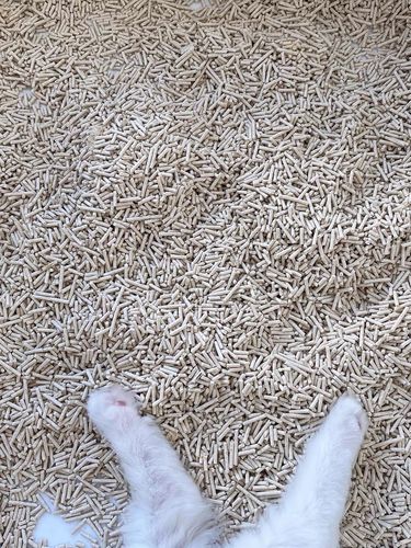 Customer photo review of Michu Natural Clumping Tofu Cat Litter 2.5kg/6L