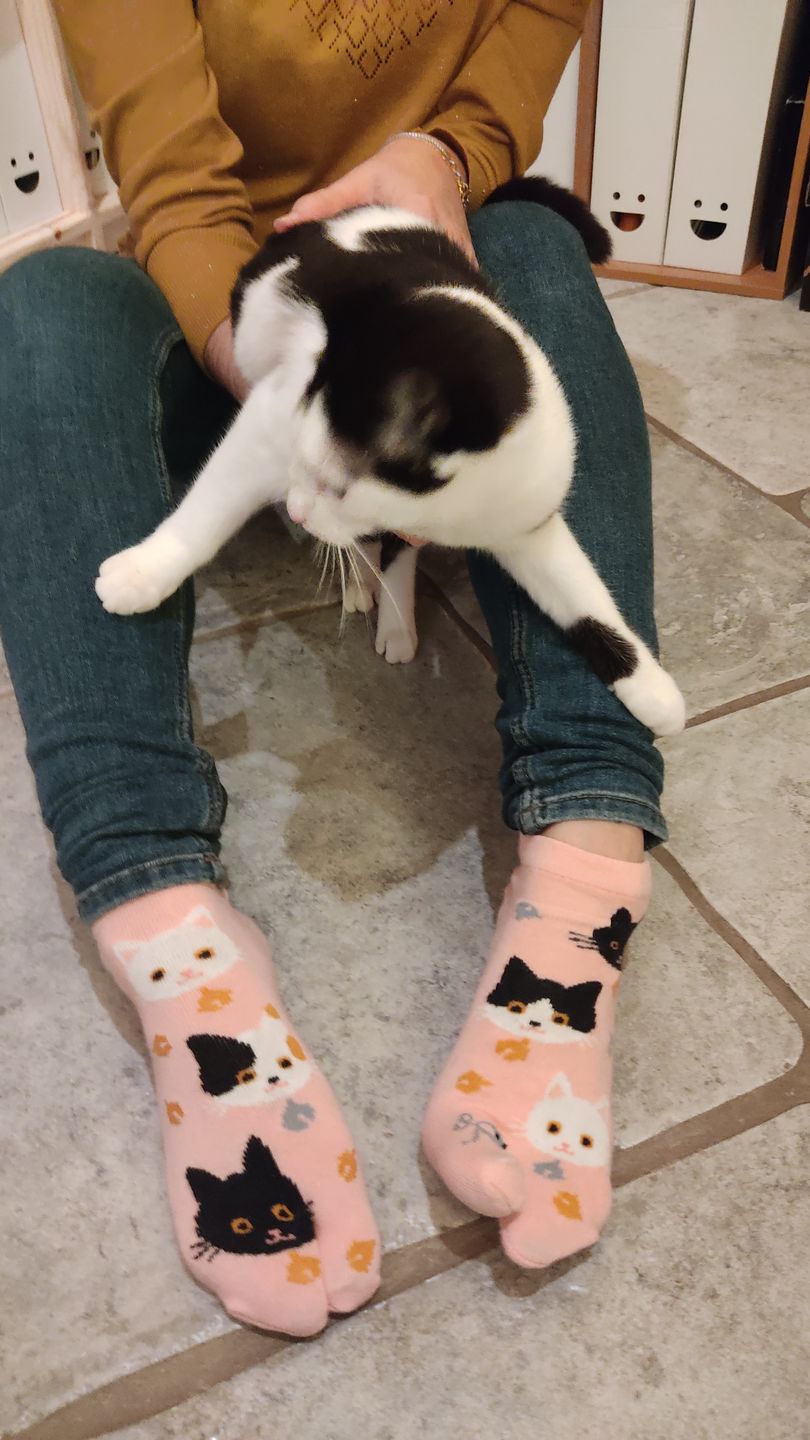 Customer photo review of Chaussettes Tabi Chats