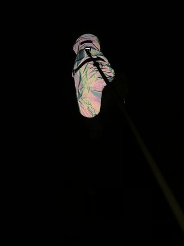 Customer photo review of Visibility Raincoat Lite Leopard for Dogs