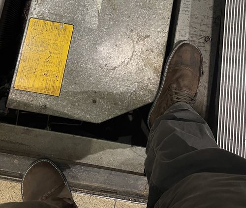 Customer photo review of Bruin