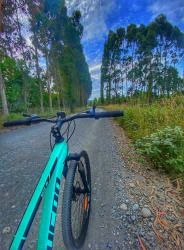 Customer photo review of Bicicleta Mountain Bike Mujer Nilo Aro 27,5