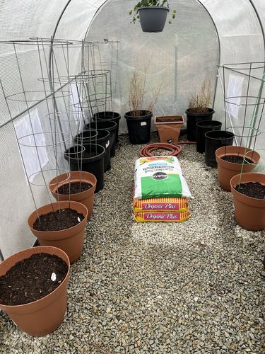 Customer photo review of Heirloom Vegetable Seeds - (55 Variety)