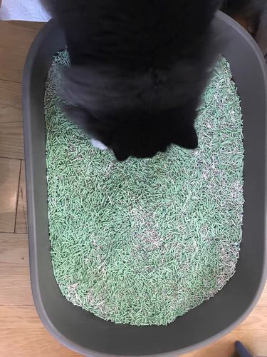 Customer photo review of Michu Natural Clumping Tofu Cat Litter 2.5kg/6L