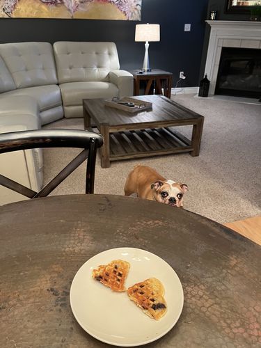 Customer photo review of New Chocolate chip (Limited Edition)