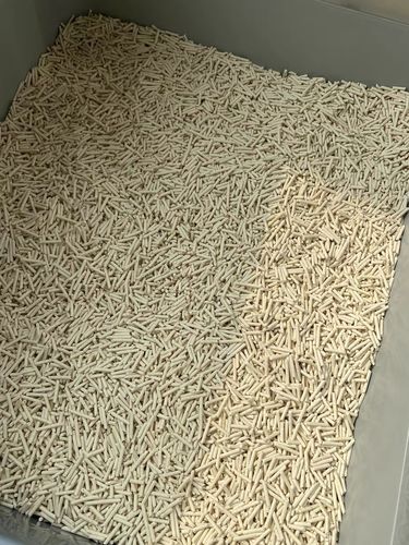 Customer photo review of Michu Natural Clumping Tofu Cat Litter 2.5kg/6L