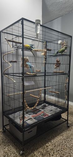 Customer photo review of 846 Palm Tree