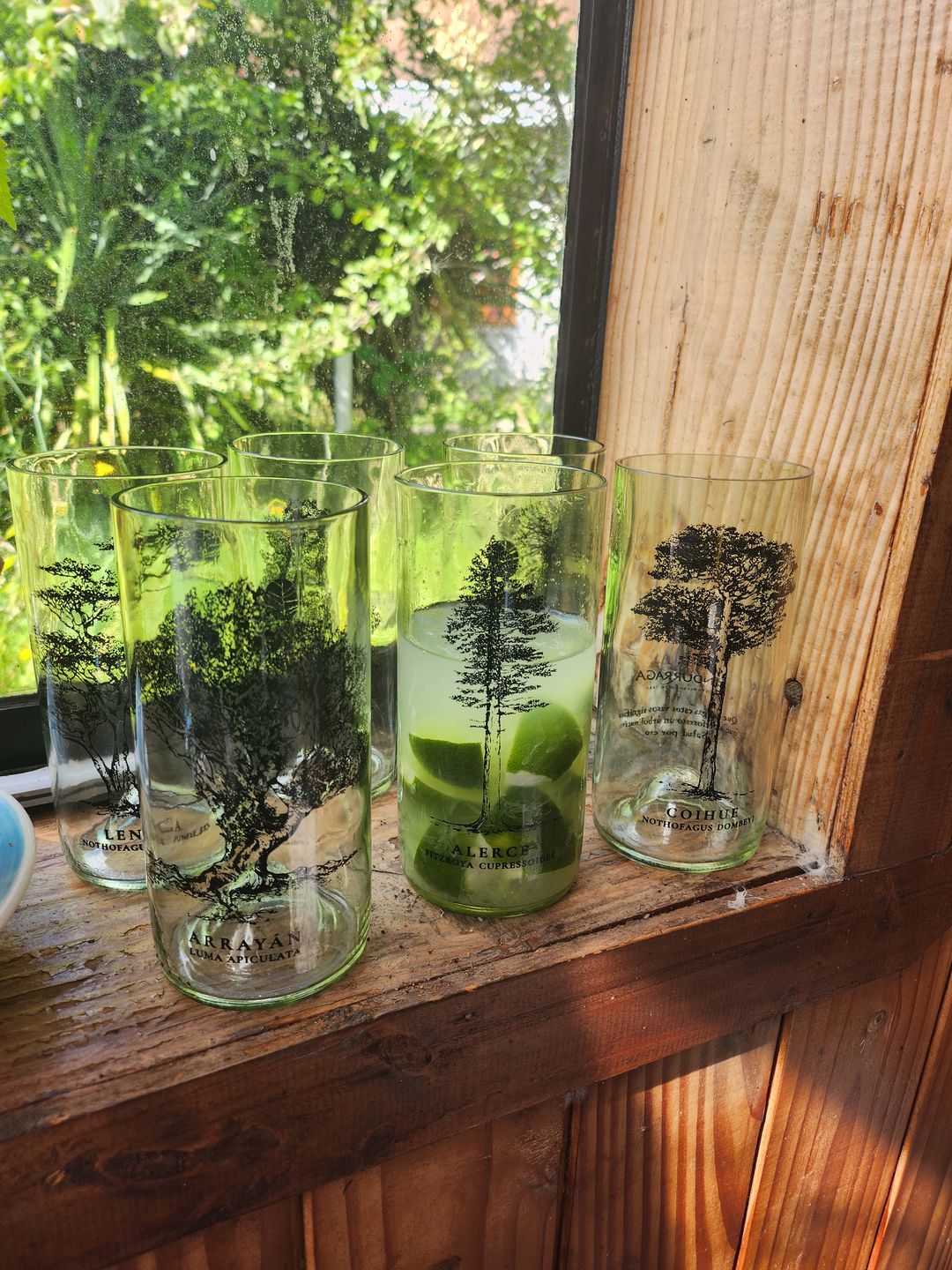Customer photo review of Juego de 6 Vasos Árboles de Chile