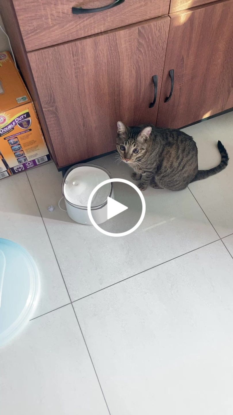 Customer video review of 霍曼無線水泵寵物飲水機