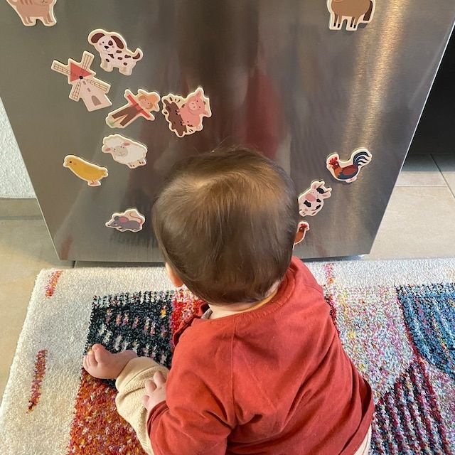 Customer photo review of Kühlschrankmagnete: Bauernhof