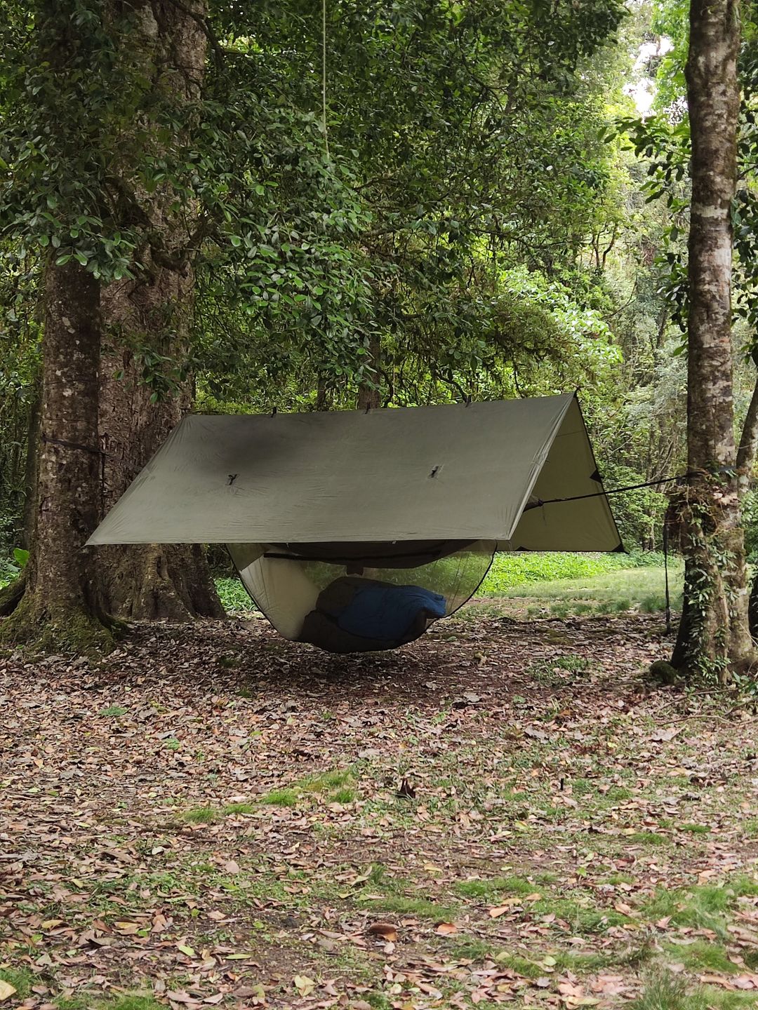 Customer photo review of Ultralight Hammock