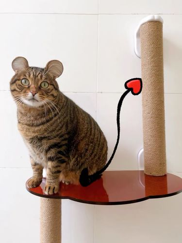 Customer photo review of MAYITWILL Mounted Window Cat Tree With Scratchpost, Dangling Toy and Window Perch