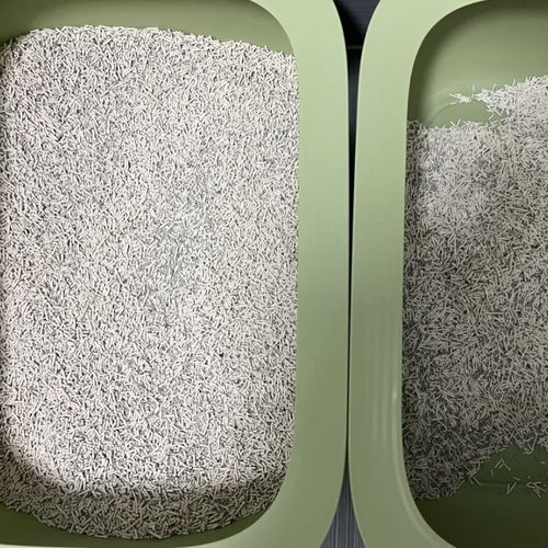 Customer photo review of Michu Natural Clumping Tofu Cat Litter 2.5kg/6L
