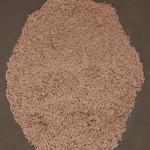 Customer photo review of Michu Natural Clumping Tofu Cat Litter 2.5kg/6L