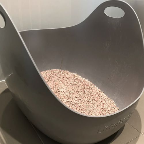 Customer photo review of Michu Natural Clumping Tofu Cat Litter 2.5kg/6L