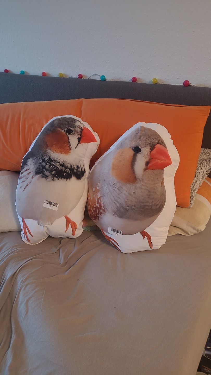 Customer photo review of Personalisiertes Vogelkissen