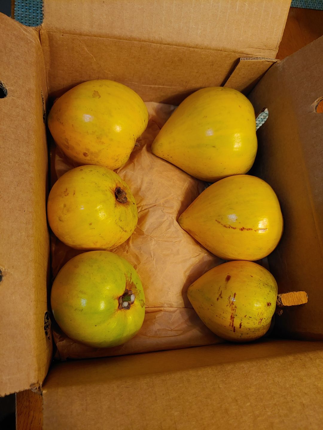 Customer photo review of Eggfruit (Canistel) Box