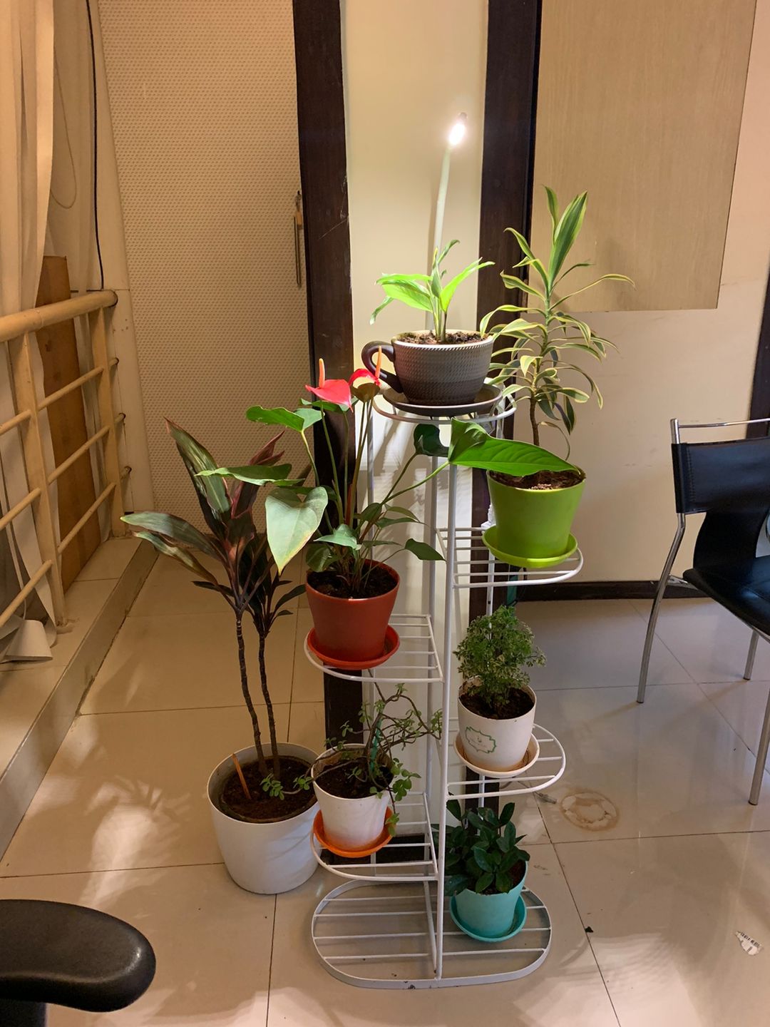 Customer photo review of Plant Stand Metal 6 Tier 7 Potted Multiple Flower Pot Holder Shelf Indoor Outdoor Planter Display Shelving Unit for Patio Garden Corner