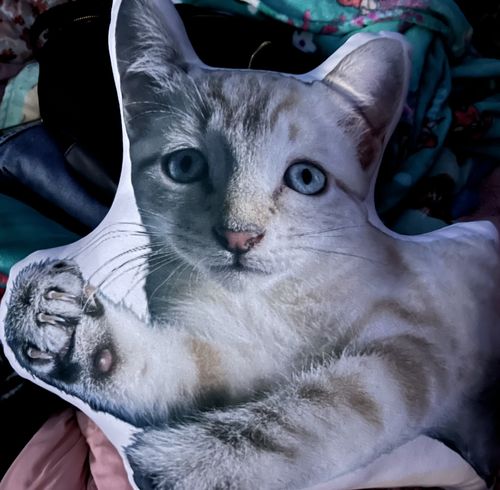 Customer photo review of Create A Custom Dog Pillow